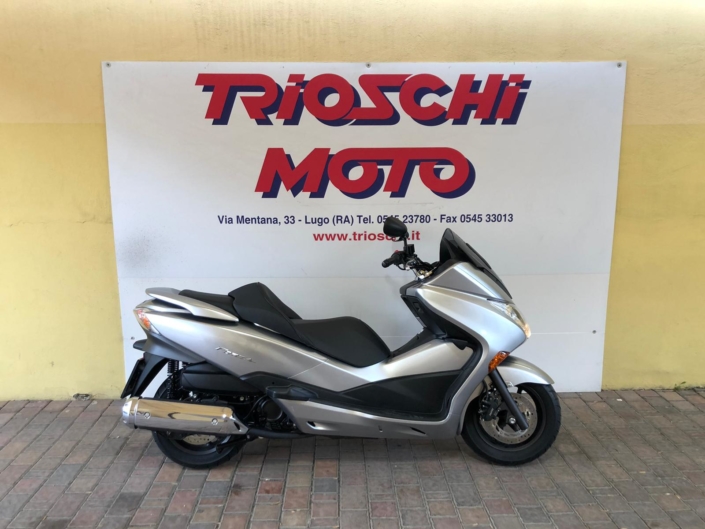 FORZAGRIGIO